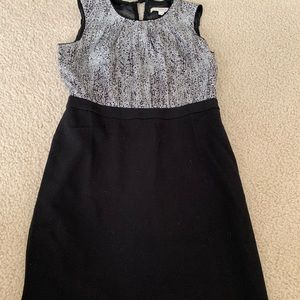 Ann taylor Loft dress